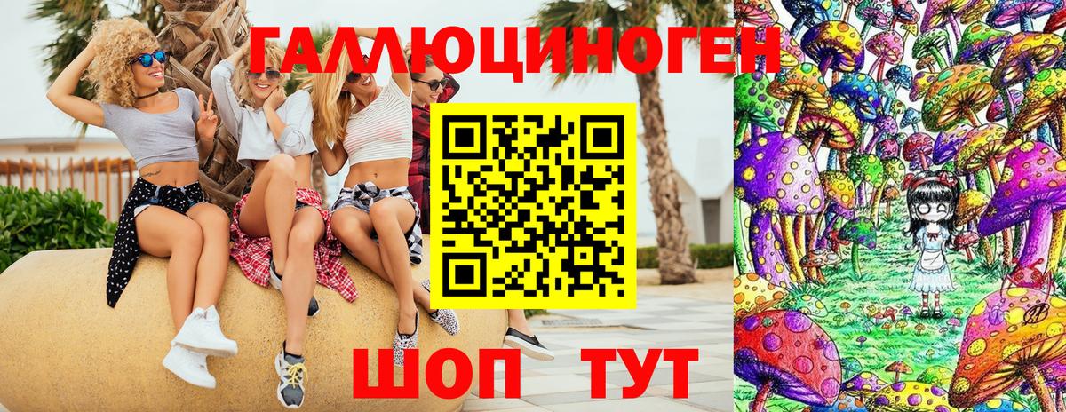 Псилоцибиновые грибы Psilocybe  Вход с VPN  Мичуринск 